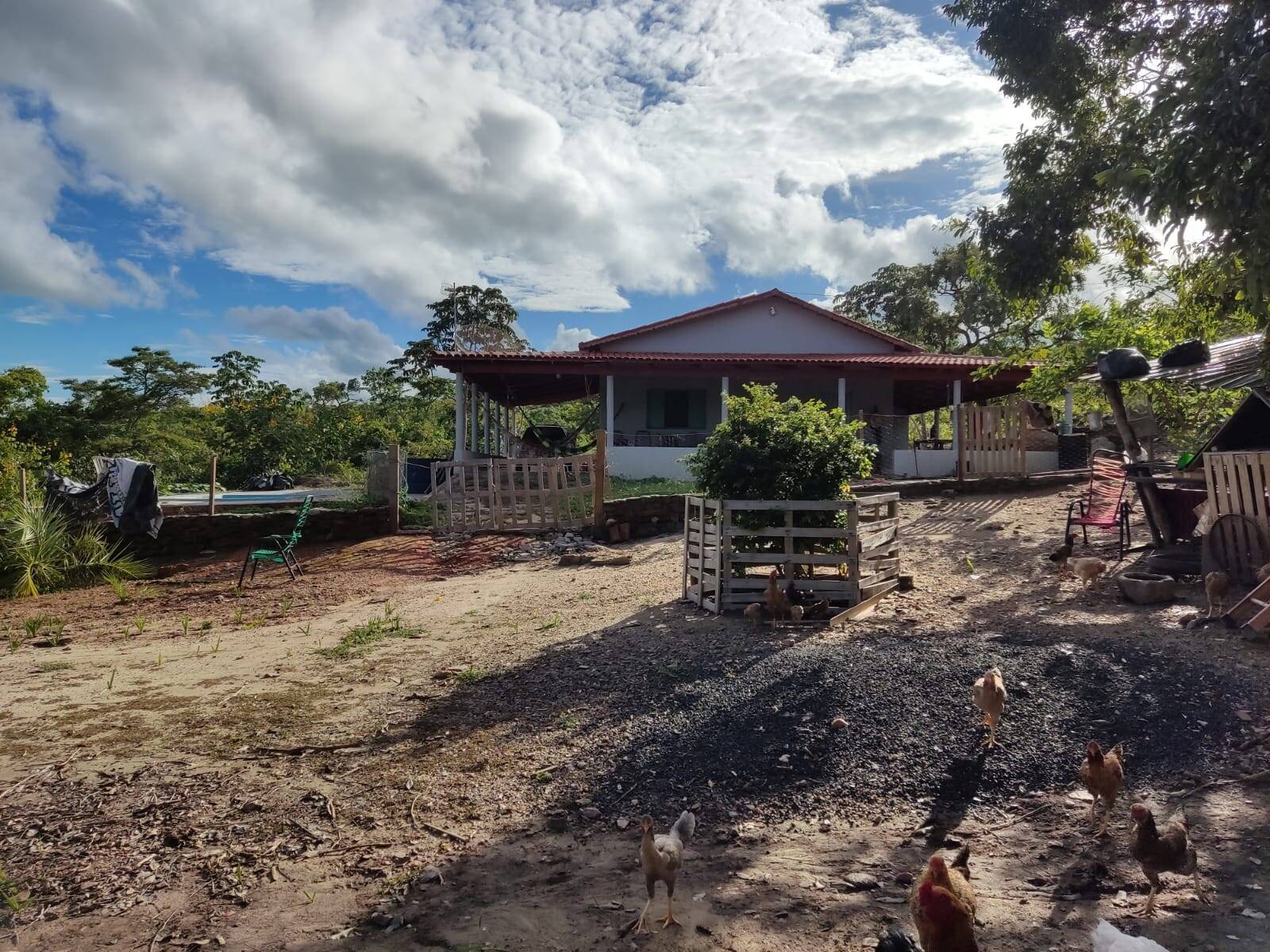 #977 - Chácara para Venda em Edéia - GO