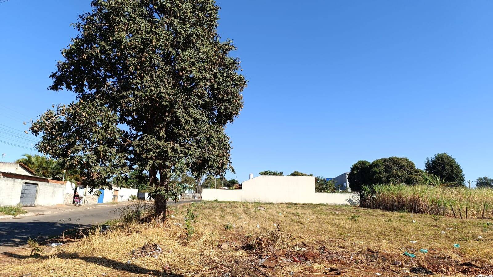 #1329 - Terreno para Venda em Aparecida de Goiânia - GO