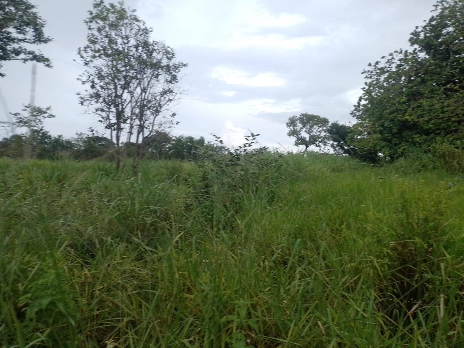 #1463 - Fazenda para Venda em Arraias - TO