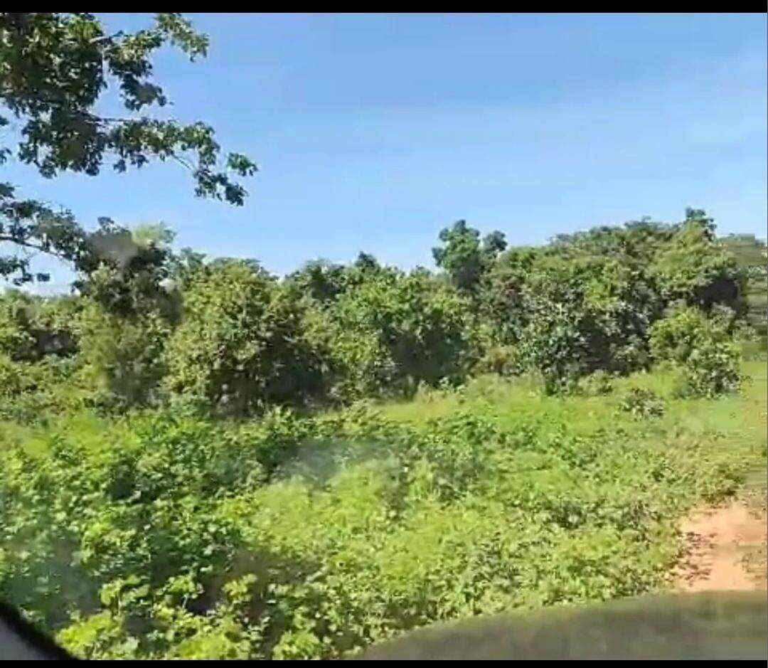 #1574 - Fazenda para Venda em Bom Jardim de Goiás - GO