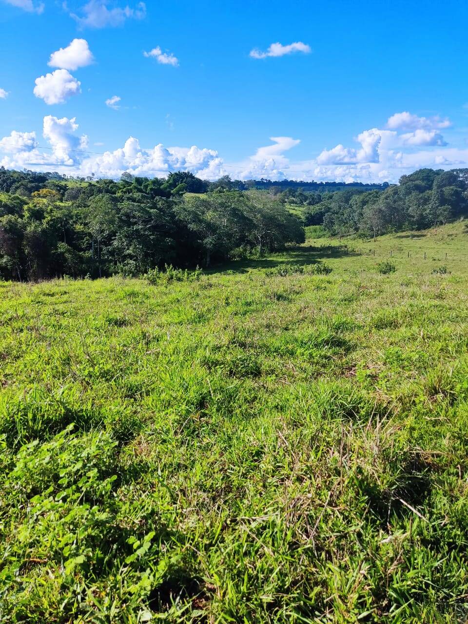 #1798 - Chácara para Venda em Petrolina de Goiás - GO