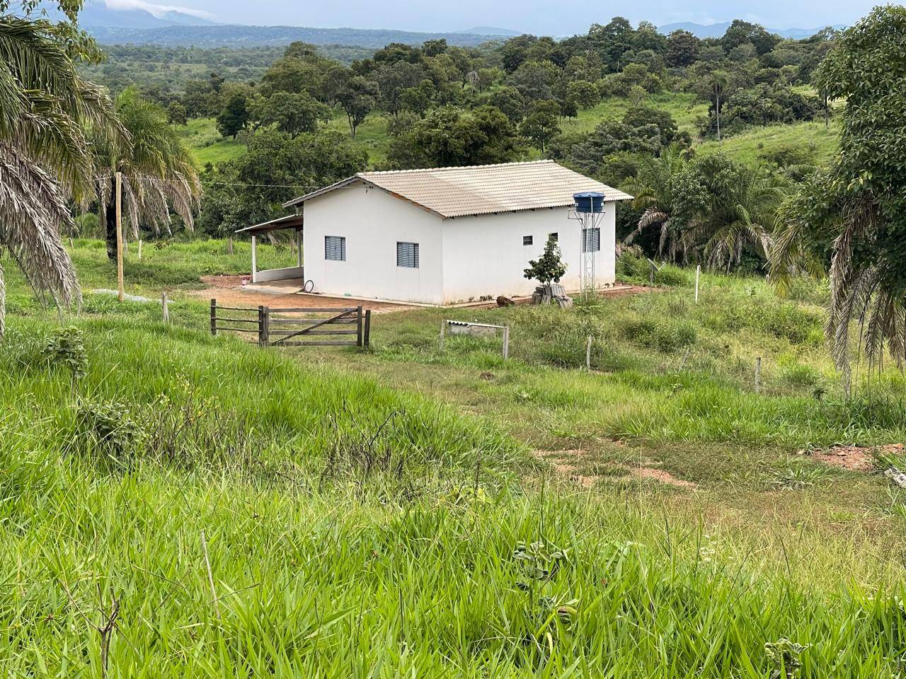 #1799 - Fazenda para Venda em Goiás - GO