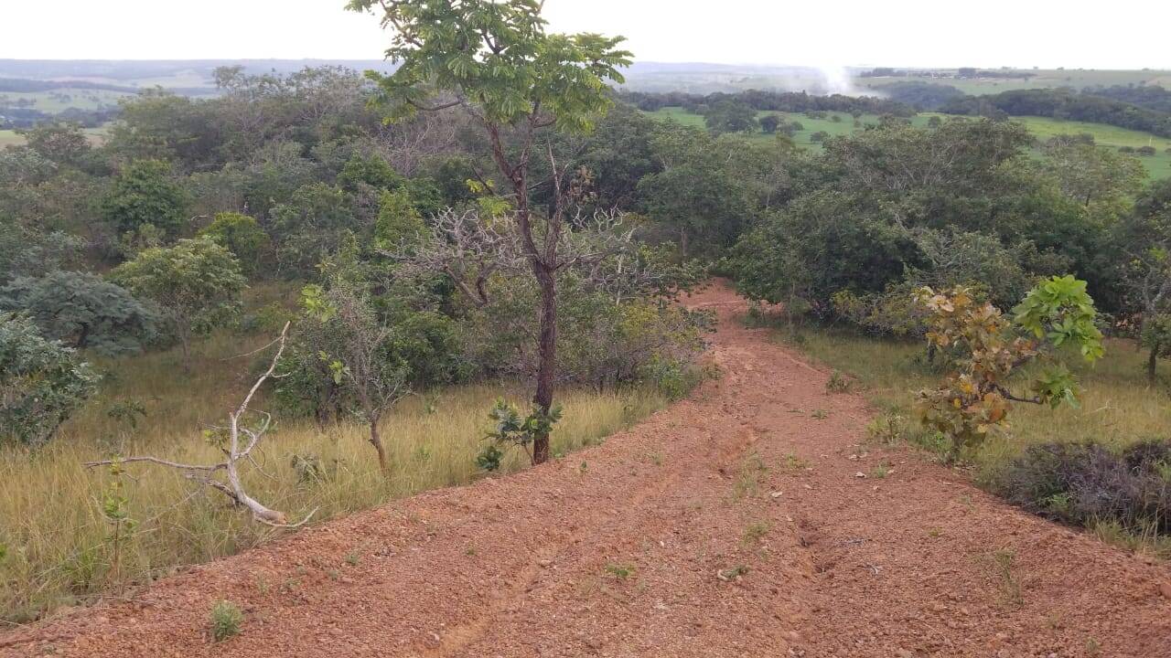 #1851 - Chácara para Venda em Bela Vista de Goiás - GO