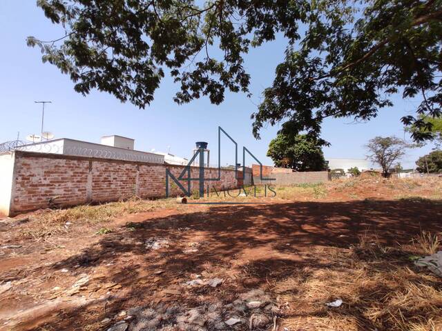 #811 - Terreno para Venda em Aparecida de Goiânia - GO - 3