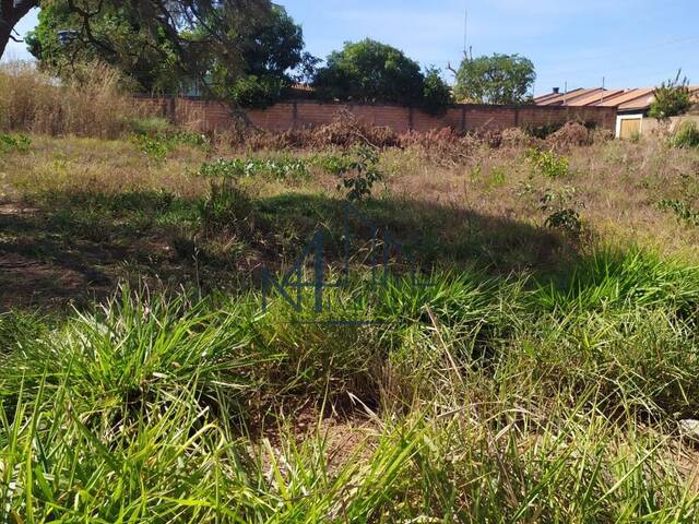 #230 - Terreno para Venda em Aparecida de Goiânia - GO - 3