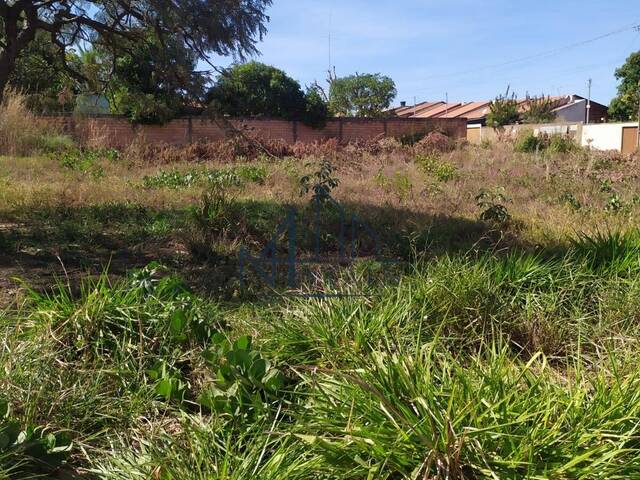 #230 - Terreno para Venda em Aparecida de Goiânia - GO - 2