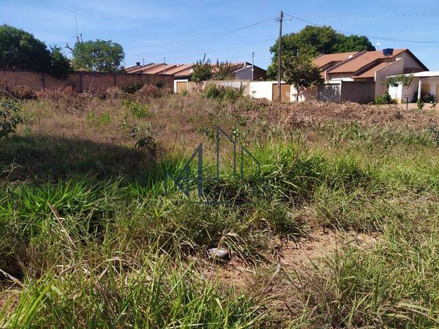 #230 - Terreno para Venda em Aparecida de Goiânia - GO - 1