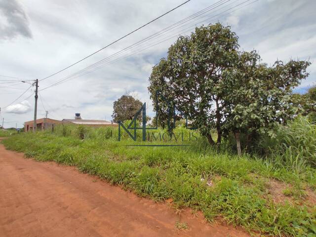 #429 - Terreno para Venda em Aparecida de Goiânia - GO - 1