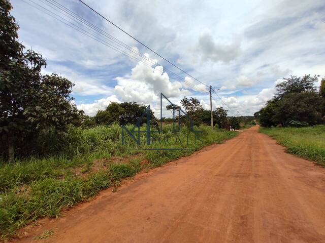 #429 - Terreno para Venda em Aparecida de Goiânia - GO - 3