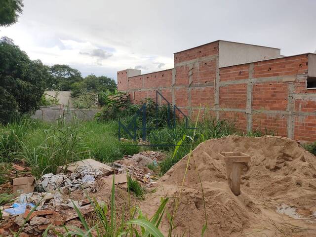 #456 - Terreno para Venda em Aparecida de Goiânia - GO - 3