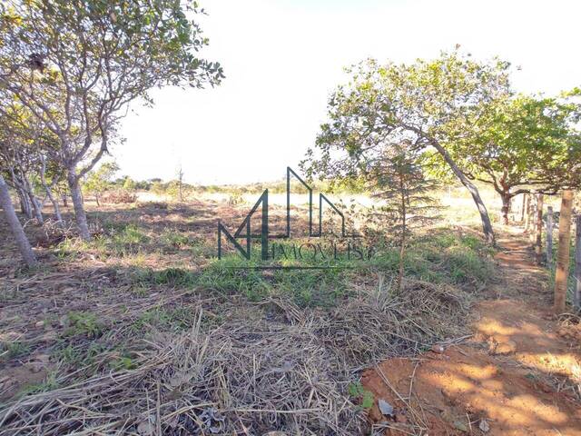 #600 - Chácara para Venda em Bela Vista de Goiás - GO - 3