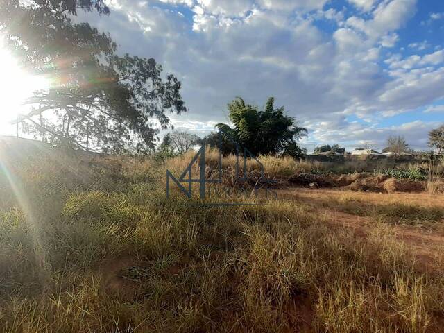 #678 - Terreno para Venda em Aparecida de Goiânia - GO - 1