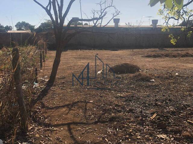 #734 - Terreno para Venda em Aparecida de Goiânia - GO - 3