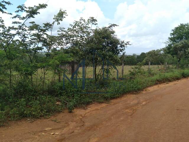 #763 - Chácara para Venda em Bela Vista de Goiás - GO - 2