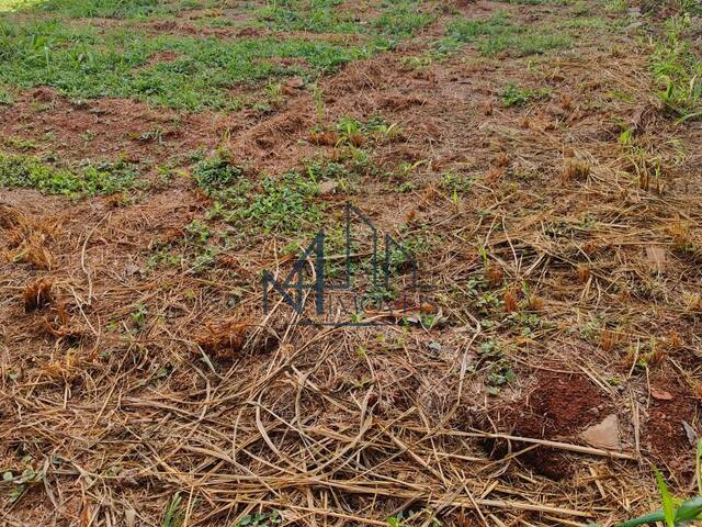 Terreno em condomínio para Venda em Trindade - 4