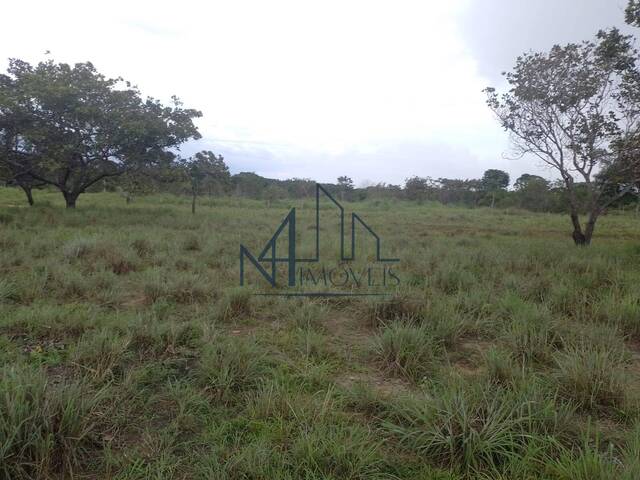 #1463 - Fazenda para Venda em Arraias - TO