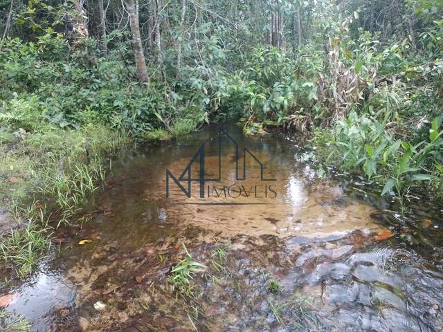 Fazenda para Venda em Arraias - 4