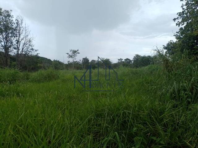 #1463 - Fazenda para Venda em Arraias - TO