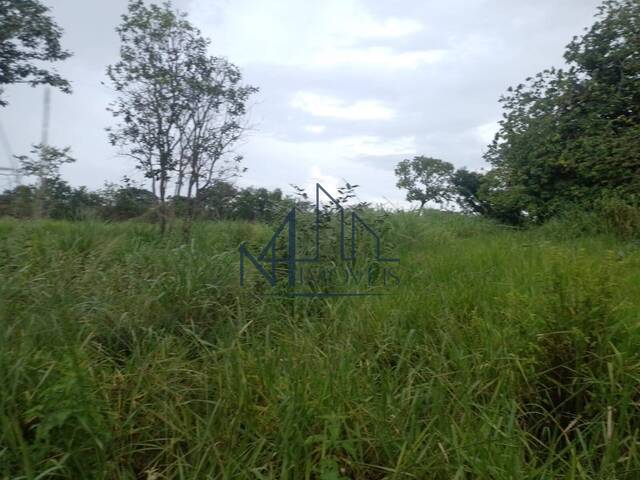 #1463 - Fazenda para Venda em Arraias - TO