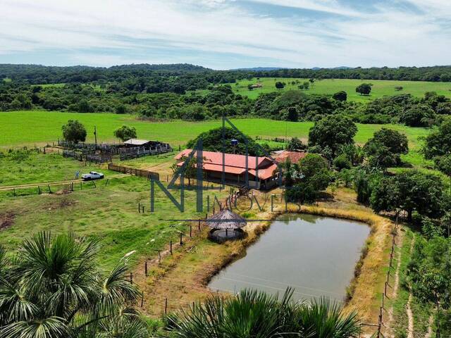 #1616 - Fazenda para Venda em Mairipotaba - GO - 1