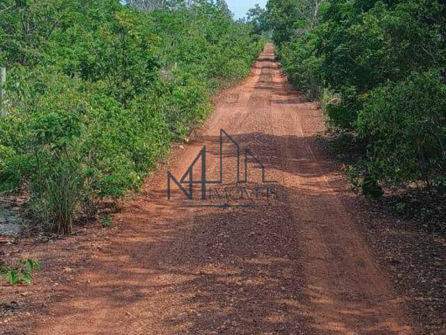 #1635 - Chácara para Venda em Palmeiras do Tocantins - TO - 1