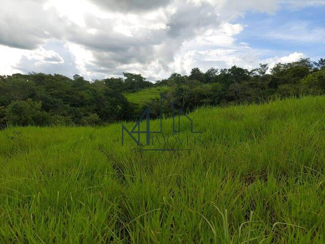 #1658 - Fazenda para Venda em Hidrolândia - GO - 3