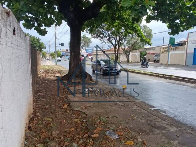 Área para Venda em Aparecida de Goiânia - 4