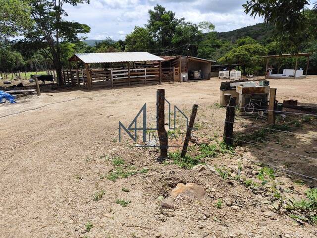 #1735 - Fazenda para Venda em Hidrolândia - GO - 2