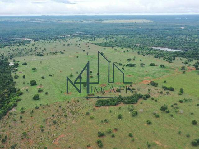 #1778 - Fazenda para Venda em Crixás - GO - 2