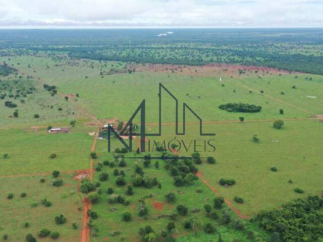 #1778 - Fazenda para Venda em Crixás - GO - 1
