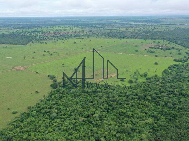 #1778 - Fazenda para Venda em Crixás - GO - 3
