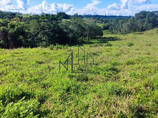 #1798 - Chácara para Venda em Petrolina de Goiás - GO - 1