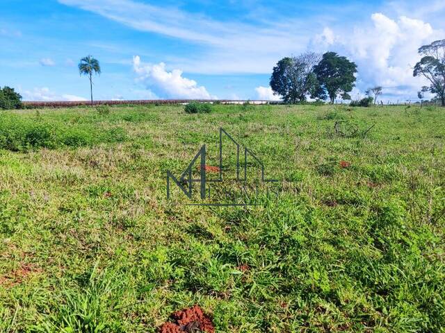 #1798 - Chácara para Venda em Petrolina de Goiás - GO - 2