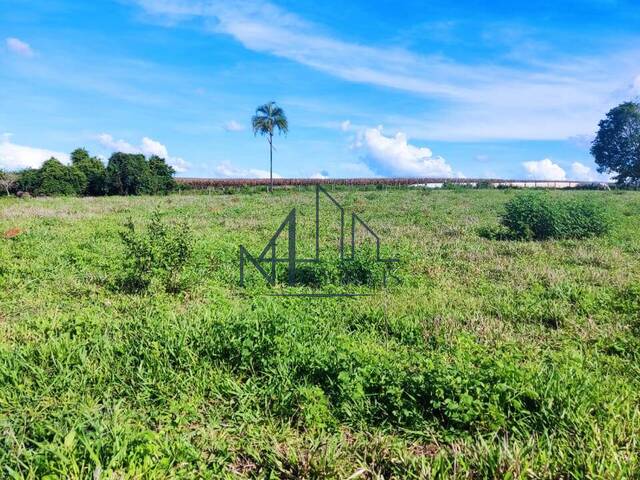 #1798 - Chácara para Venda em Petrolina de Goiás - GO - 3