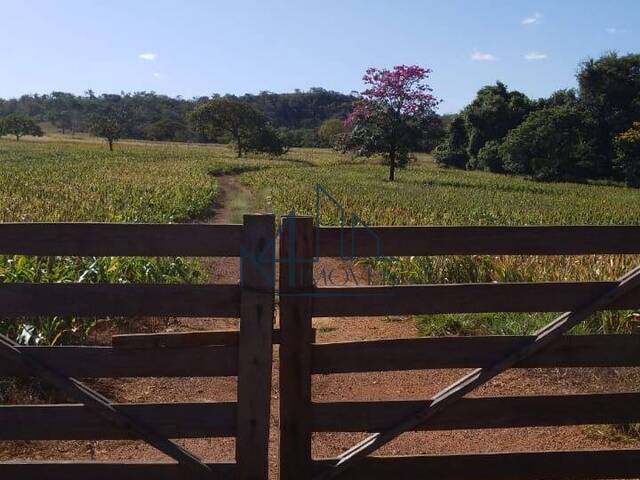 #1851 - Chácara para Venda em Bela Vista de Goiás - GO - 3