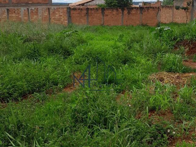 Terreno para Venda em Senador Canedo - 4