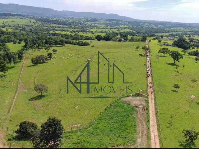 #1906 - Fazenda para Venda em Sanclerlândia - GO - 2
