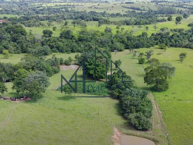 #1906 - Fazenda para Venda em Sanclerlândia - GO - 1