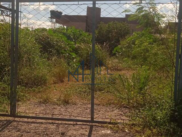 #2000 - Área para Venda em Aparecida de Goiânia - GO - 1