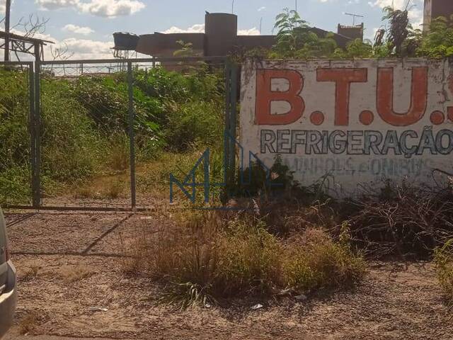 #2000 - Área para Venda em Aparecida de Goiânia - GO - 3