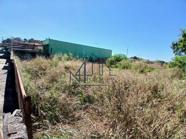 #2025 - Terreno para Venda em Aparecida de Goiânia - GO - 1