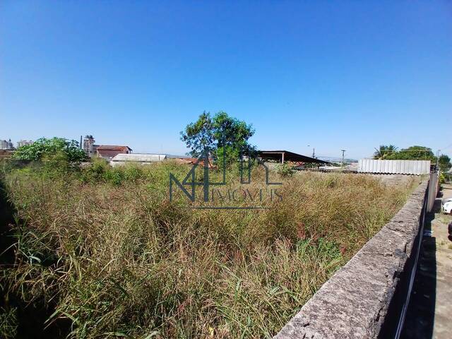 #2025 - Terreno para Venda em Aparecida de Goiânia - GO - 3