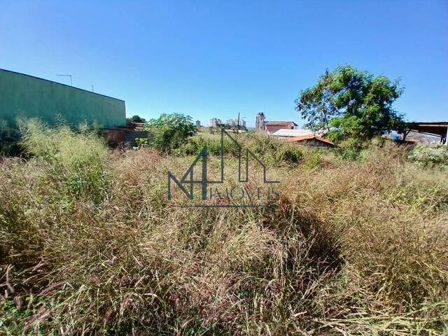 #2025 - Terreno para Venda em Aparecida de Goiânia - GO - 2