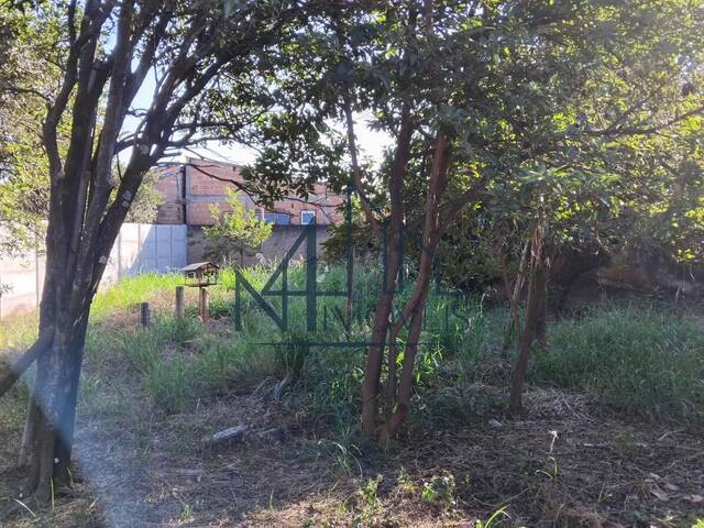 #2061 - Área para Venda em Aparecida de Goiânia - GO - 2