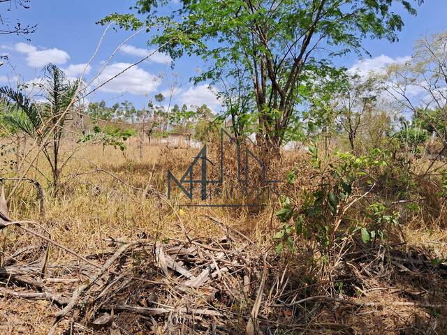 #2259 - Terreno para Venda em Aparecida de Goiânia - GO - 2