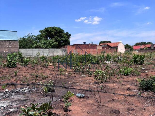 #2266 - Terreno para Venda em Aparecida de Goiânia - GO - 3