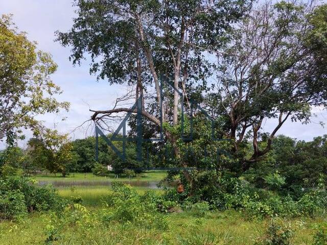 #2275 - Chácara para Venda em Britânia - GO - 2