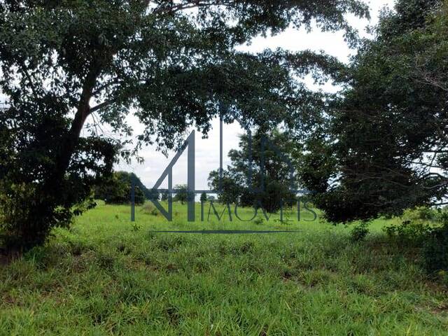 #2275 - Chácara para Venda em Britânia - GO - 1