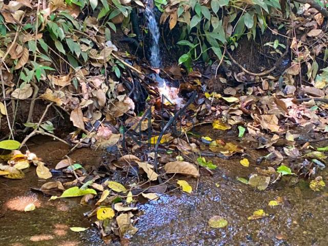 #2382 - Chácara para Venda em Bela Vista de Goiás - GO - 3