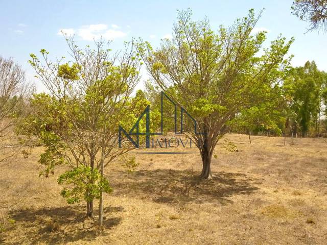 #2382 - Chácara para Venda em Bela Vista de Goiás - GO - 2